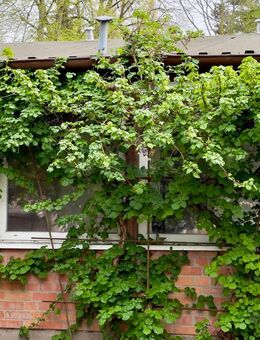 FINALER PREIS | PROVISIONSFREI | 2 Bungalows-Handwerkerobjekt zum Bodenrichtwert-großes Grundstück - Hohen Neuendorf