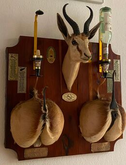 Kunst Sammlung Verkauf - Bremen