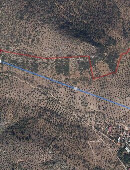 PROVISIONFREI : Investitionschance! 2.639 m² Olivenhain in Milas/Muğla – Meeresnähe - Stuttgart