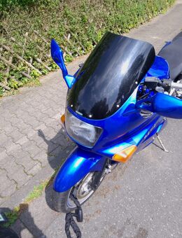 Kawasaki ZX-10 - Steinhagen (Nordrhein-Westfalen)