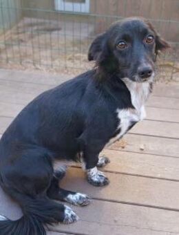 Sanfte, ruhige Masha (E) - Ludwigshafen (Rhein)