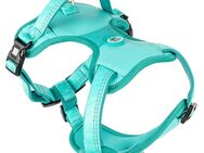 Max & Molly Sportgeschirr - Matrix 2.0, Türkis - Größe M: 48 - 65 cm Brustumfang