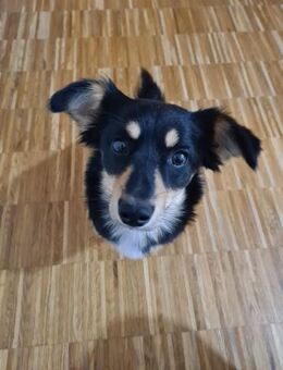 BAJA - ich liebe Bewegung - Overath