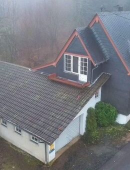 Naturnahes Wohnen im Herzen des Nationalparks Hunsrück Hochwald - Neuhütten (Rheinland-Pfalz)