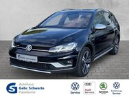 VW Golf, 2.0 TDI VII Alltrack, Jahr 2019 - Haselünne