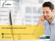 Vertriebsspezialist (m/w/d) - Wickede (Ruhr)