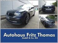 VW Tiguan, 2.0 TDI Life RKamera, Jahr 2021 - Celle