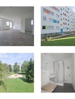 Erstbezug nach Sanierung - große 3-Zimmerwohnung mit Balkon - Chemnitz