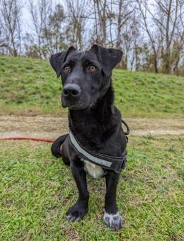Laky unsere Knalltüte - Obertshausen