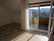 *Sonnige, vermietete 1-Zimmer-Wohnung mit EBK + Balkon!* - Osterode (Harz)