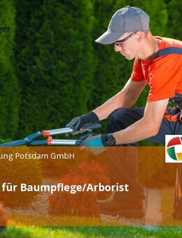 Fachkraft für Baumpflege/Arborist (m/w/d) - Potsdam