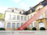 Große, exklusive barrierefreie Schlosswohnung mit modernen Einbauküchen, großem eigenem Garten, mehreren Tageslichtbädern und Park! - Trier