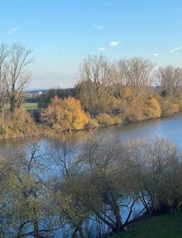 Einzigartige Perle in Seligenstadt am Main - Seligenstadt