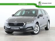 Skoda Octavia, 2.0 TDI Combi Style HdUp, Jahr 2023 - Gersthofen