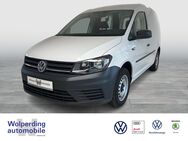 VW Caddy, 2.0 TDI Kasten, Jahr 2021 - Winsen (Luhe)