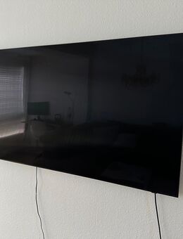 Samsung gq65 - Wendlingen (Neckar)