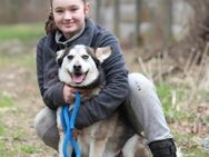 BODRO - Familienhund mit Leib und Seele - Overath