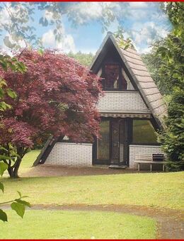 Ferienhaus in idyllischer Randlage - Bad Wünnenberg
