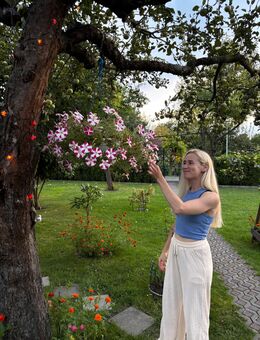 Massagen - Schönefeld