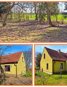 Renovieren. Gestalten. Einziehen. Ihr Haus mit Potenzial! - Ummanz