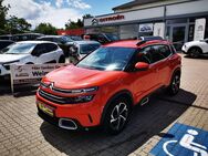 Citroën C5, Aircross Pure Tech 130 FEEL, Jahr 2019 - Weimar