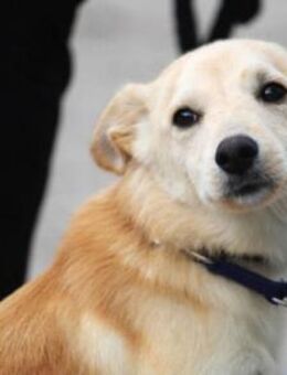 Amali ist einfach nur bezaubernd + lieb! - Karben