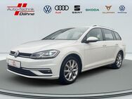 VW Golf Variant, 1.5 TSI Golf VII Highline, Jahr 2019 - Wittenberge