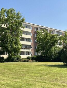 Mach was draus' - Spare zwei Kaltmieten - Halle (Saale)