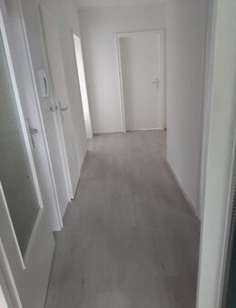 Sehr schöne 3 Zimmer Wohnung mit Balkon in Gelsenkirchen zu vermieten - Gelsenkirchen