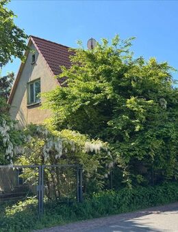 Einfamilienhaus im Leutzscher Villenviertel sucht neue Familie - Leipzig