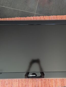 Samsung Full HD TV 46 Zoll (117cm) LE46B620R3P + Wandhalterung - Besigheim