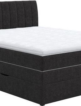 COTTA Boxspringbett Shark inkl. Bettkasten und Topper, erhältlich in den Breiten 140x200cm, 160x200cm und 180x200cm