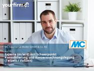 Experte (m/w/d) mit Schwerpunkt Konsolidierung und Konzernrechnungslegung (Teilzeit / Vollzeit) - Essen