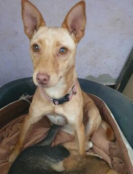 Nene liebt ds Leben - Berlin