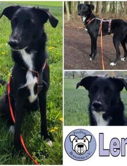 LENE * Ideenreiches Schlauköpfchen - Duisburg