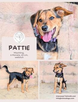 Pattie: Unser Gute-Laune-Paket - Brühl (Nordrhein-Westfalen)
