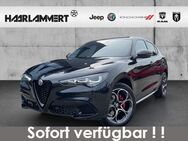 Alfa Romeo Stelvio, 2.0 Veloce Q4, Jahr 2024 - Hasbergen