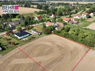 Einfach Einziehen und dann "Die eigene Parkanlage" gestalten - Falkenberg (Brandenburg)