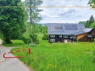 Schwarzwaldhaus im Naturschutzgebiet - Sonnenlage - Breitnau