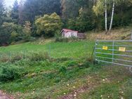 Wunderschönes Gartengrundstück mit Blick auf die alte Burg von Hohenfels - Hohenfels (Bayern)