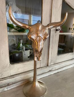 SKULL AUF STÄNDER - Hagen (Teutoburger Wald)