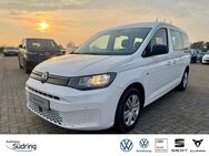 VW Caddy, 2.0 TDI Maxi Life, Jahr 2025 - Nienburg (Weser)