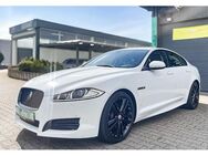 Jaguar XF - Niederzier