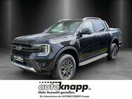 Ford Ranger, 2.0 Wildtrak e DOKA Ecoblue, Jahr 2024 - Frankenthal (Pfalz)