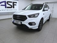 Ford Kuga, ST-Line #el Heckkl # #, Jahr 2019 - Fürstenwalde (Spree)