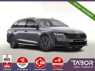 Skoda Octavia, Combi TDI Sportl FL vEHK, Jahr 2025 - Freiburg (Breisgau)