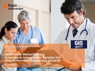 Geförderte Weiterbildung Systemisch-Integrativer Berater mit interkultureller Kompetenz (m/w/d) - Hamburg