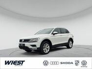 VW Tiguan, 2.0 TSI Highline, Jahr 2017 - Bensheim