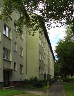 Schöne 3-Zimmer-Wohnung in grüner Lage zu vermieten! - Frankfurt (Main)