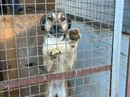 Nena wartet auf ihreChance, ES/PSgesucht - Berlin